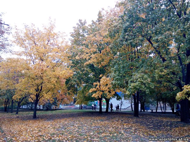 Осень в Кривбассе